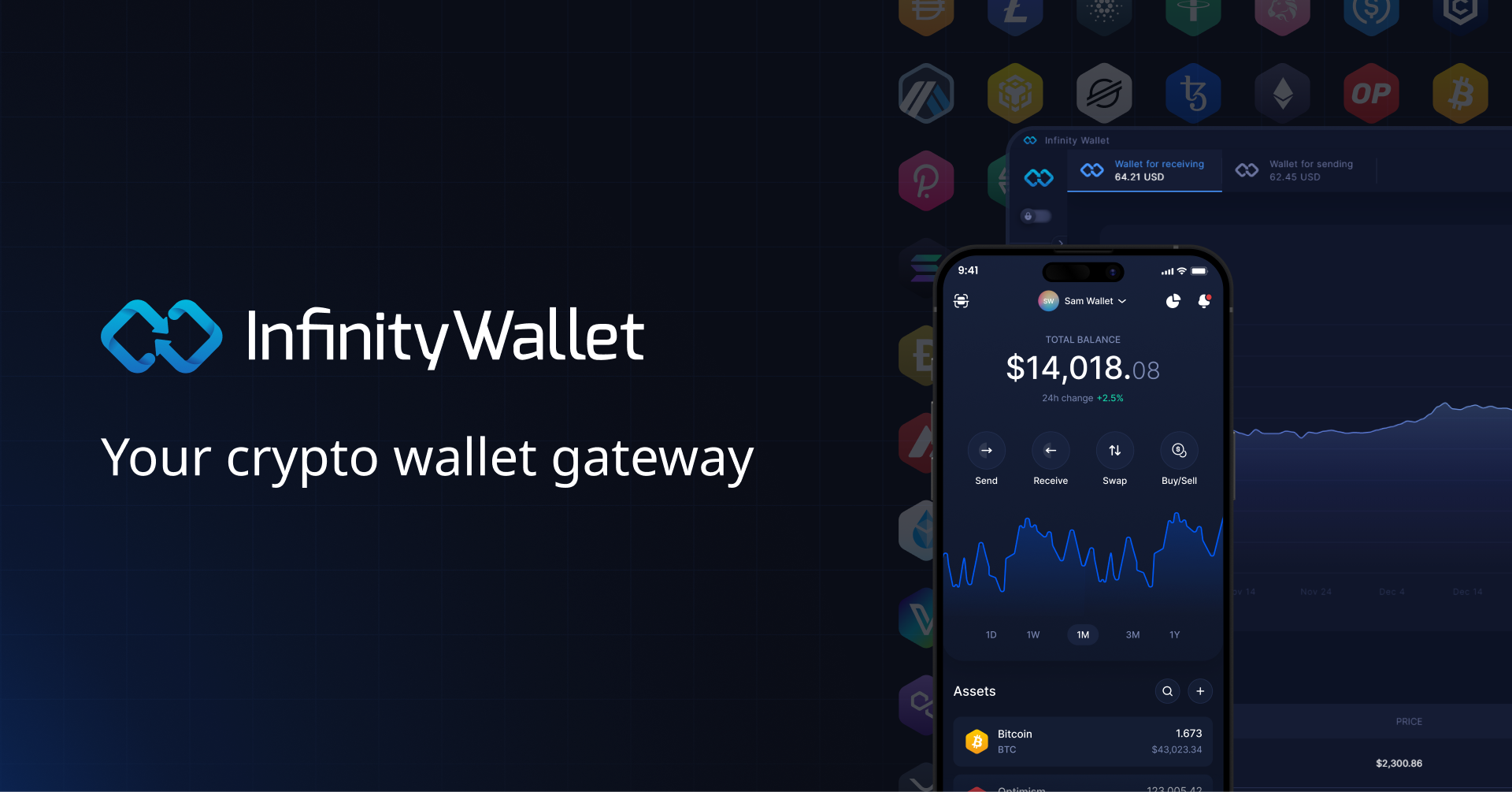 Infinity Wallet Extension: Your Ultimate Guide